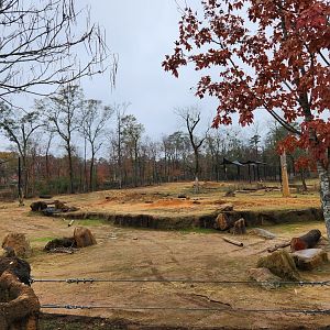 Birmingham Zoo - Boma Yard