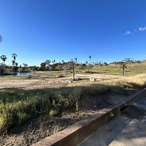 South Africa Field Exhibit