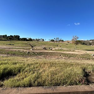 South Africa Field Exhibit