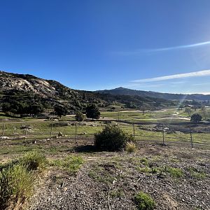 Central Africa Field Exhibit