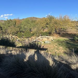Bird Marsh Exhibit (5 species)