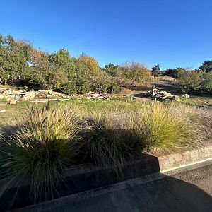 Bird Marsh Exhibit (5 species)