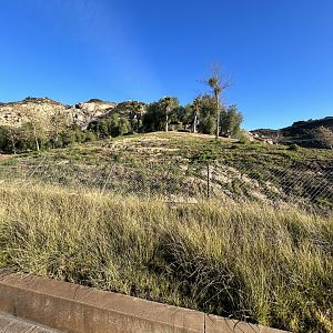 Somali Wild Ass, Dromedary Camel & Nubian Soemmerring’s Gazelle Exhibit