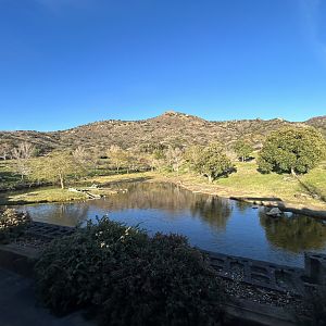 African Forest Field Exhibit