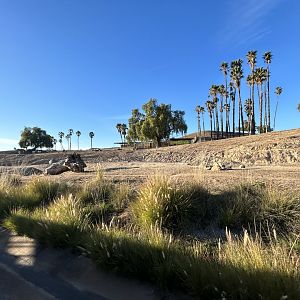 North Africa Field Exhibit