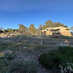 African Elephant Exhibit