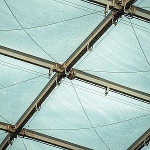 Sloth under the roof