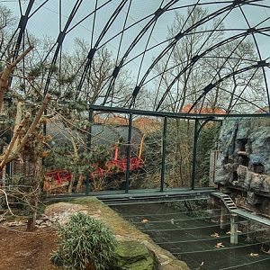 Western eurasian griffon vulture aviary above river