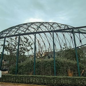 Western eurasian griffon vulture aviary