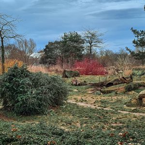 Spotted hyena enclosure in front of the savanna