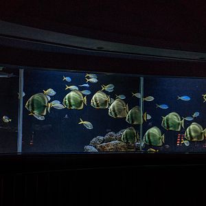 360° Aquarium