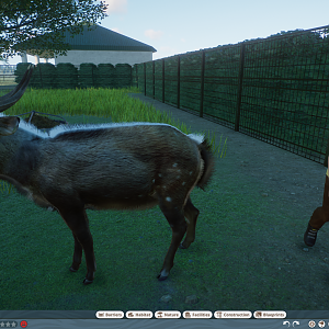 Planet Zoo - Cape Bushbuck Mod