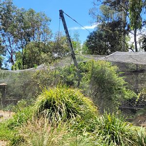 The overgrown aviary... no more birds