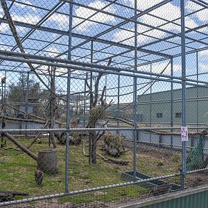 Long-tailed Macaque Enclosure
