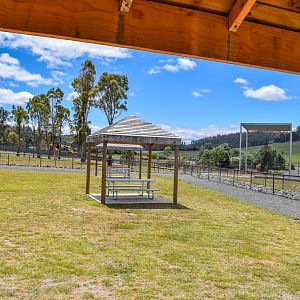 Giraffe Seating Area/Viewing