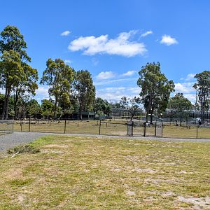 Macropod Walkthrough