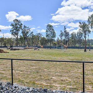 Giraffe enclosure (second half)