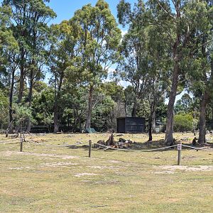 Macropod Walkthrough