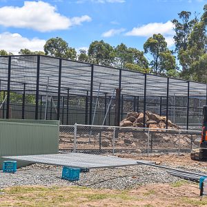 New Enclosure (under construction)