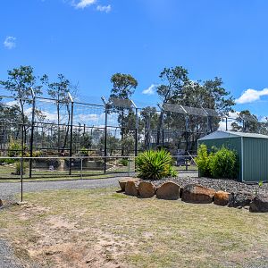 Sumatran Tiger enclosure