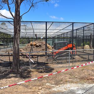 New enclosure (under construction)