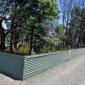 Tasmanian Devil enclosure