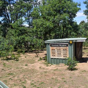 Wombat enclosure