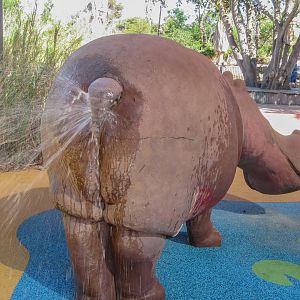 Hippo playground