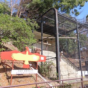Andean condor sign+cage