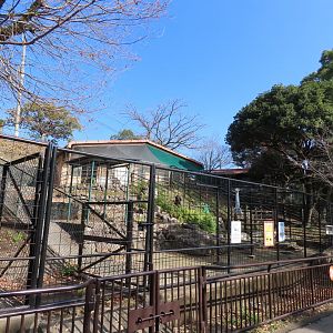 Emu and Cassowary pen