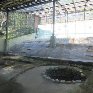 Lion exhibit