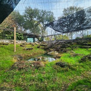Montgomery Zoo - Snow Leopard enclosure