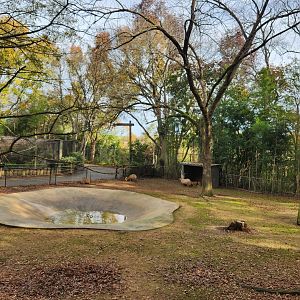 Montgomery Zoo - Capybara/screamer yard