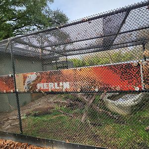 Montgomery Zoo - Komodo Dragon cage