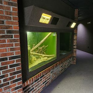 Montgomery Zoo - Decaying reptile house