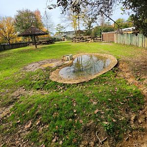 Montgomery Zoo - Indian Rhinoceros yard