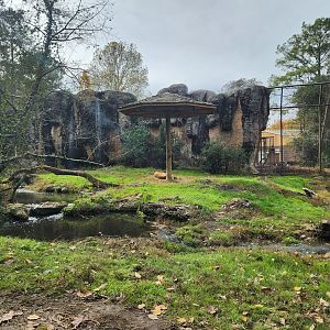 Montgomery Zoo - Tiger enclosure