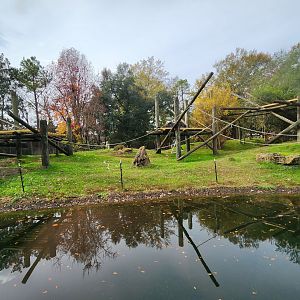 Montgomery Zoo - Chimpanzee exhibit