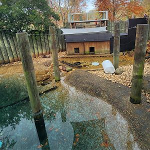 Montgomery Zoo - North American River Otter enclosure