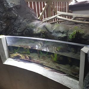 Upland and Cran's Bully Tank- Tongariro National Trout Centre