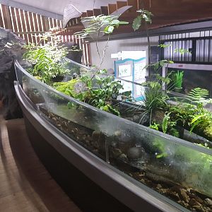 Center Tank- Tongariro National Trout Centre