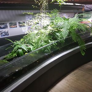 Center Tank- Tongariro National Trout Centre