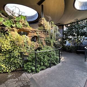 Hummingbird Habitat