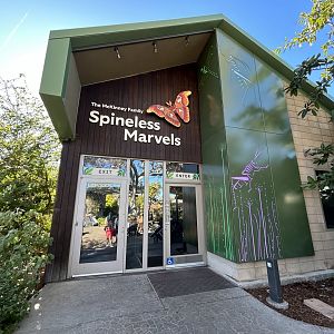 Spineless Marvels - Wildlife Explorers Basecamp