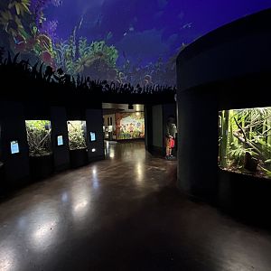 Spineless Marvels Overview - Wildlife Explorers Basecamp