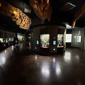 Spineless Marvels Overview - Wildlife Explorers Basecamp