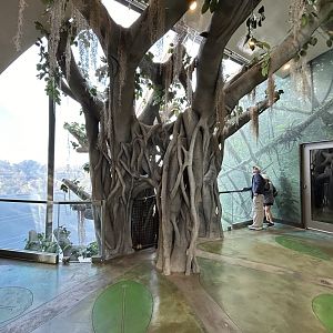 Butterfly Hall in Spineless Marvels - Wildlife Explorers Basecamp