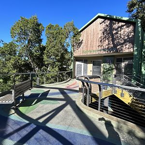 Spineless Marvels - Wildlife Explorers Basecamp