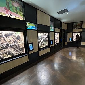 Cool Critters Overview - Wildlife Explorers Basecamp