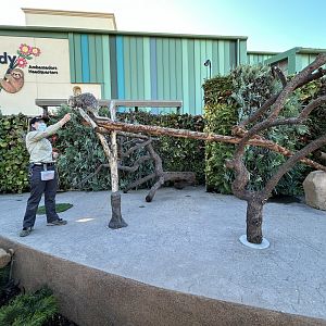 Animal Ambassador Stage w/ Prehensile-tailed Porcupine - Wildlife Explorers Basecamp